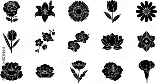 Black and white floral on white background flowers silhouettes 2