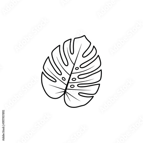 Monstera deliciosa tropical leaf line art vector illustration