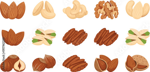 Set of healthy nut vector illustrations including almonds walnuts cashews pecans and pistachios for organic food packaging healthy snacks nutrition blogs and culinary design.
