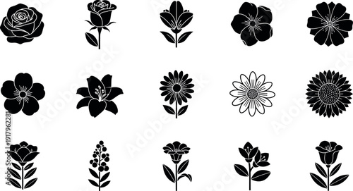 Black and white floral with various flower types and line styles flowers plants