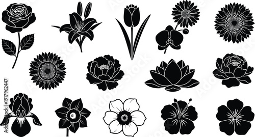 Black and white floral silhouettes collection flowers background