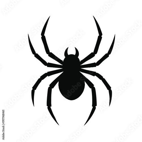 Black Spider Silhouette Isolated on White Background