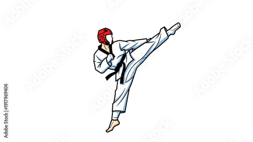 Taekwondo fighter performing a high kick