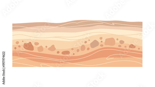 Illustration of cross-section of skin layers with texture