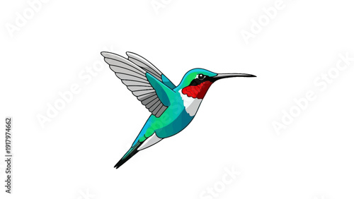 Ruby throated hummingbird in flight