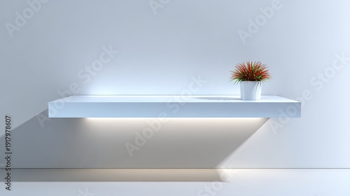 Modern minimalist shelf with potted plant showcasing stylish interior design in contemporary living space illuminated by soft light and shadows