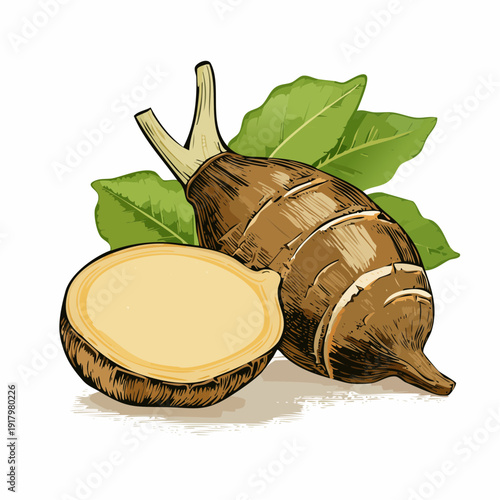 Illustration of a cut open root vegetable with leaves behind it on a plain surface from a straightforward viewpoint