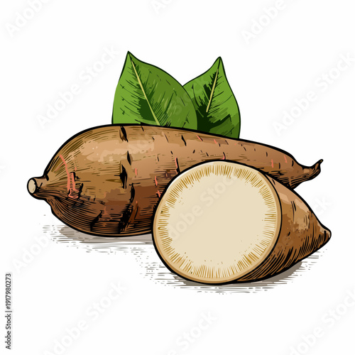 Illustration of whole and halved root vegetable with green leaves on a simple background from a straightforward viewpoint