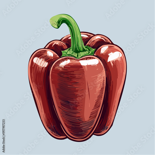 A vibrant red bell pepper is illustrated against a light blue background from a front viewpoint