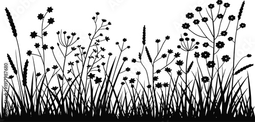Black meadow grass and wildflower silhouette border isolated on white background, detailed botanical illustration for nature themes, spring summer design, and decorative field edges