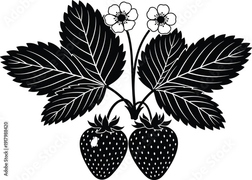 Black strawberry plant silhouette with leaves, flowers and berries, botanical vector illustration isolated on white background for garden agriculture and food design use