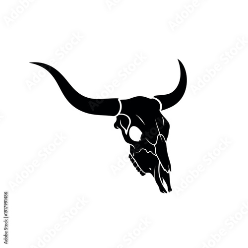 Black bull skull with long horns side view isolated on white background.