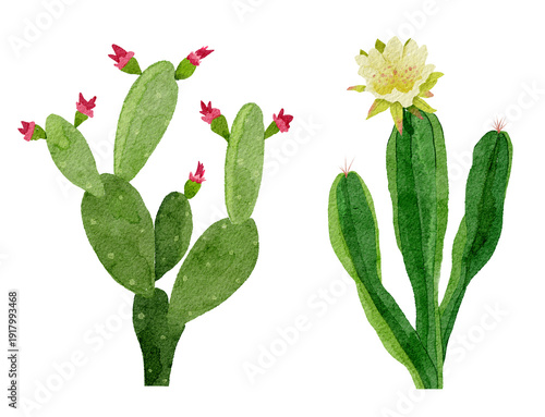 Watercolor Cactus Set with Blooming Flowers