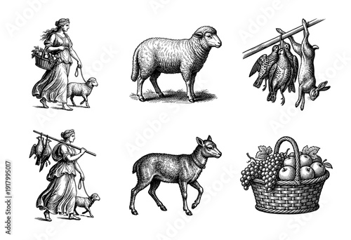 Vintage engraving collection featuring classical female figures with livestock game birds and a basket of harvested fruit