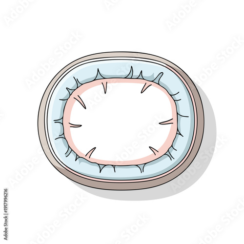 Close up of a Freshly Washed Raw Egg with Water Droplets on Its Surface