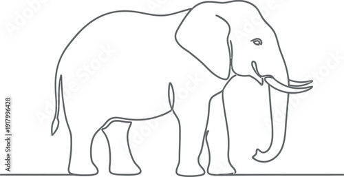 Elegant elephant line art illustration