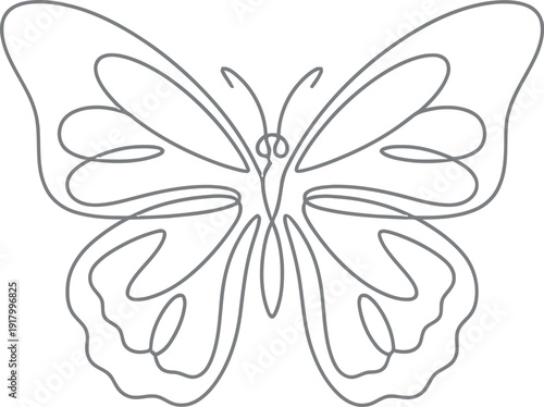 Elegant butterfly line art illustration