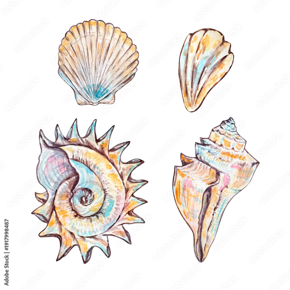 Obraz premium Watercolor seashells set, underwater animals and floral ocean.
