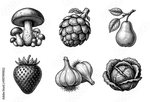 Vintage engraving collection of botanical food illustrations featuring mushrooms artichoke pear strawberry garlic and cabbage in a detailed woodcut style.
