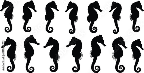 Seahorse silhouette collection featuring detailed marine animal shapes in black vector style, ocean wildlife icons isolated on white background
