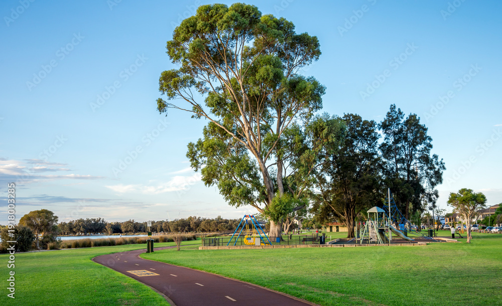 Obraz premium Tranquil lakeside park with towering eucalyptus tree, winding red path, playground, and golden sunset glow in Shelley suburb, Perth, Australia, 16 March 2021