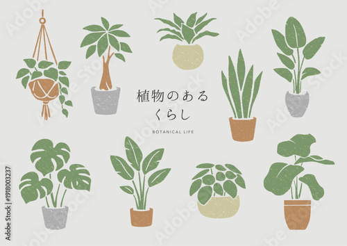 ナチュラルインテリア向け観葉植物イラストセット｜植物のある暮らし・北欧風ボタニカル素材