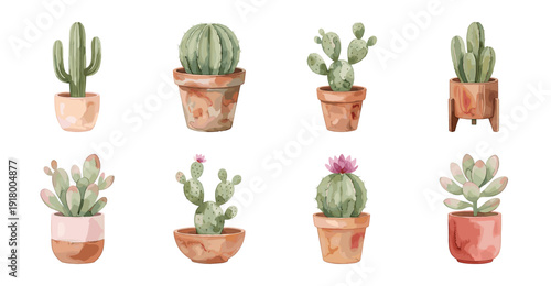 Watercolor Cactus and Succulent Plant Collection Vector