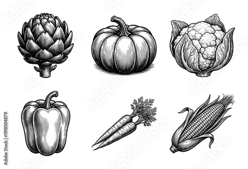 Vintage engraving collection of assorted organic vegetables featuring artichoke, pumpkin, cauliflower, bell pepper, carrots, and corn on the cob.