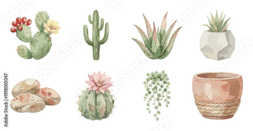 Cactus and Succulent Watercolor Sticker Set, Vector Illustration