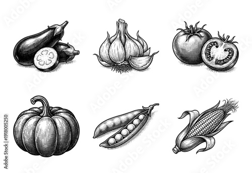Vintage engraving collection of assorted vegetables featuring eggplant garlic tomato pumpkin peas and corn on the cob