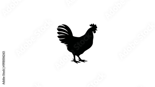 Black rooster silhouette icon. Farm animal vector illustration. Generic chicken graphic element isolated on white background.