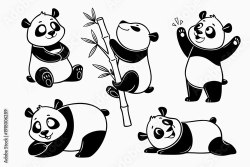 freshly cute panda Caracter   