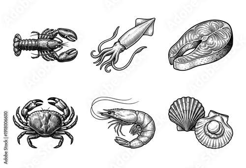 Vintage engraving style collection of seafood including lobster, squid, salmon steak, crab, shrimp, and scallop shells.
