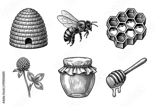 Vintage engraving style honey production collection featuring honeybee, beehive, honeycomb, clover flower, glass jar, and wooden dipper