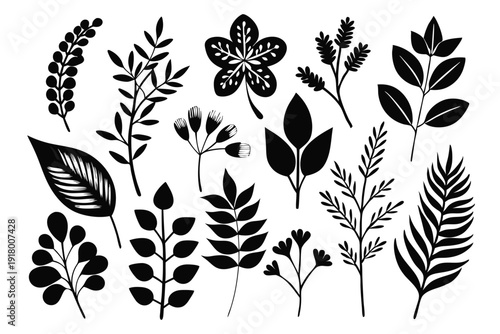 set of floral designs botanic line art silhouette vector illustration