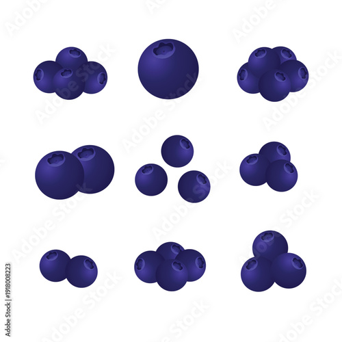 Blueberry Fruit Set with Single and Cluster Blueberries – Fresh Blueberry Flat Vector Illustration