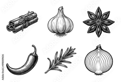 Set of hand drawn spice and herb illustrations featuring cinnamon, garlic, star anise, chili pepper, rosemary, and onion in vintage engraving style.