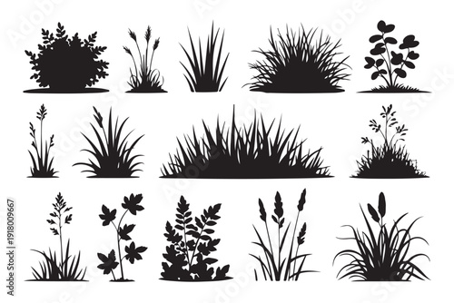 Assortment of silhouette plants and grasses, including bushes and reeds, providing natural elements for landscape design backgrounds