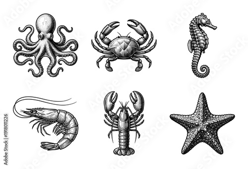 Vintage style woodcut engraving set of marine life featuring octopus crab seahorse shrimp lobster and starfish