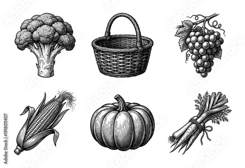 Vintage woodcut style collection of garden vegetables and harvest elements featuring broccoli corn pumpkin grapes and a woven basket