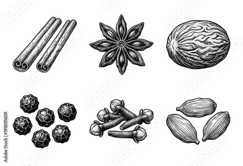 Vintage engraving style collection of aromatic spices featuring cinnamon sticks star anise nutmeg peppercorns cloves and cardamom pods