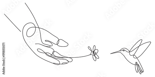Continuous line drawing of a human hand holding a flower for a hovering hummingbird Vector, illustration
