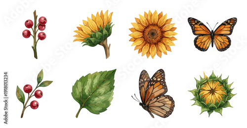Sunflower and Butterfly Nature Illustration Set