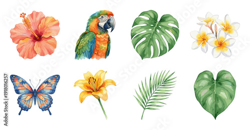 Tropical Jungle Nature Set with Flowers and Animals
