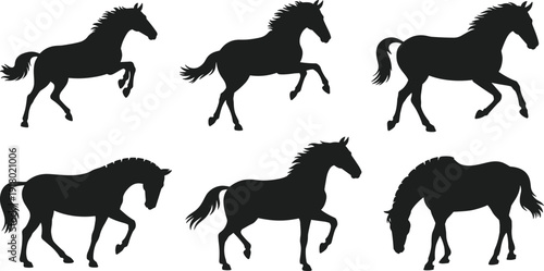 Here is the SEO-optimized metadata for your third image (the horses), followed by the consolidated titles and keyword strings for all three images to help with your Adobe Stock portfolio.
