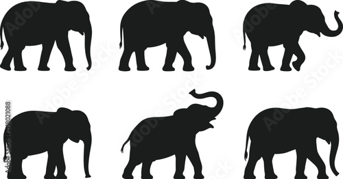 For your Adobe Stock portfolio, here is a optimized title and a structured set of keywords designed for SEO and visibility.