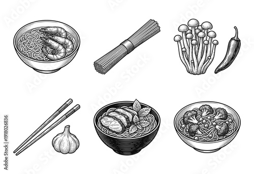 Asian noodle dishes and ingredients collection featuring ramen shrimp duck and broccoli bowls in hand drawn vintage woodcut engraving style.