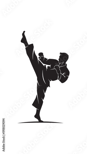 Silhouette of a martial artist performing a high kick during training.