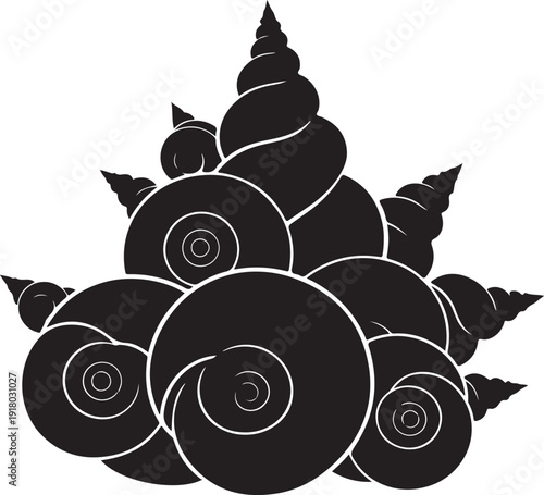 Black and white illustration of a snail shell collection