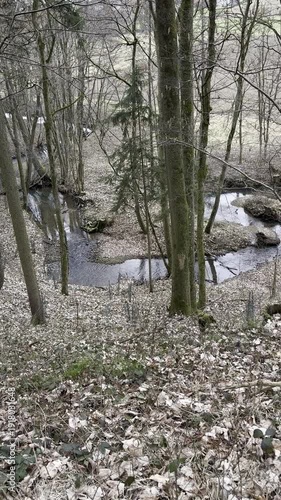 meandering stream in woods in winter